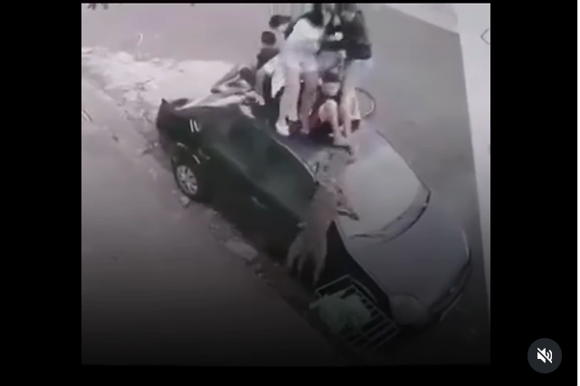  Grupo de criança escapa em teto de carro de ataque de Pitbull.