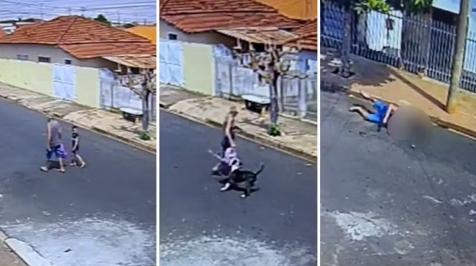  Em Vista Alegre homem de 78 anos é atacado por pitbull, em Várzea Alegre uma criança também foi mordida por um vira-lata.