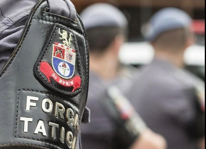  Um homem mata cão a golpes de machado e foi levado à delegacia.