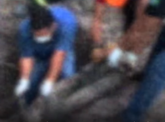  Corpo de Juazeirense é encontrado dentro de cemitério em Imperatriz/MA.