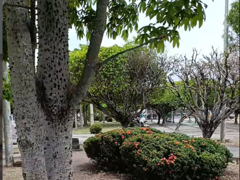 Capturar