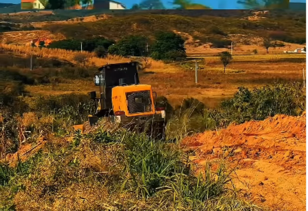 Capturar