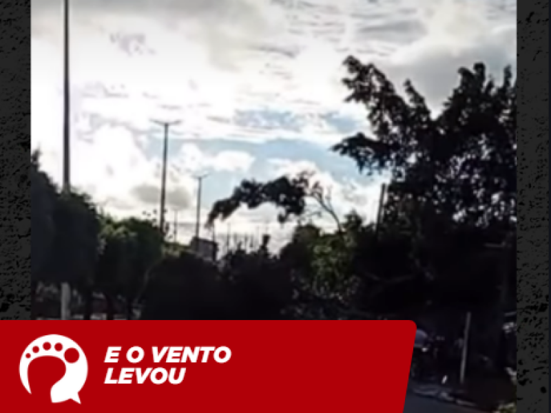 Capturar