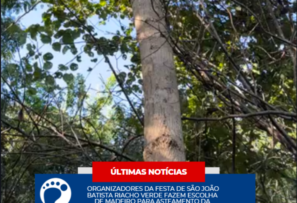 Capturar