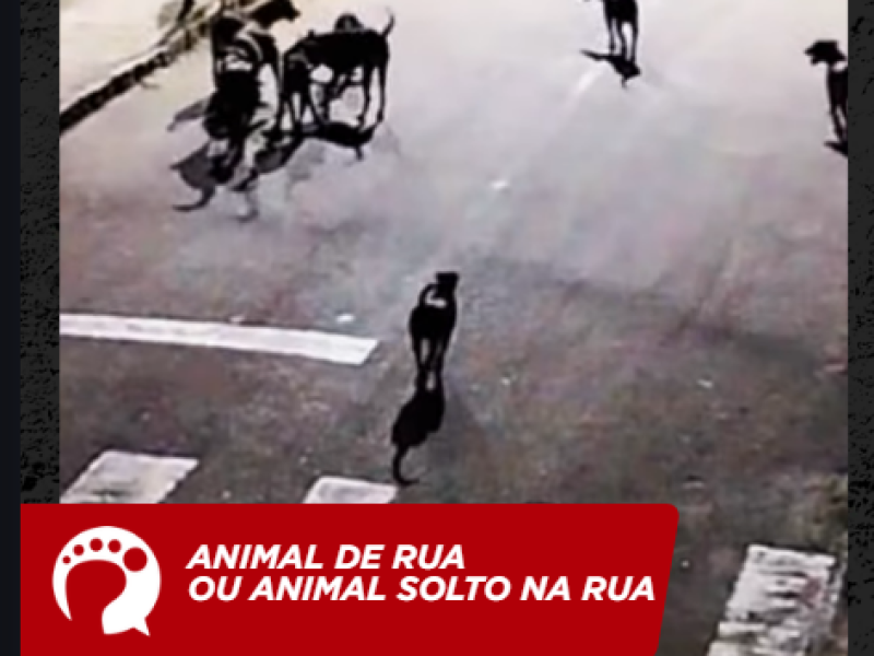 Capturar