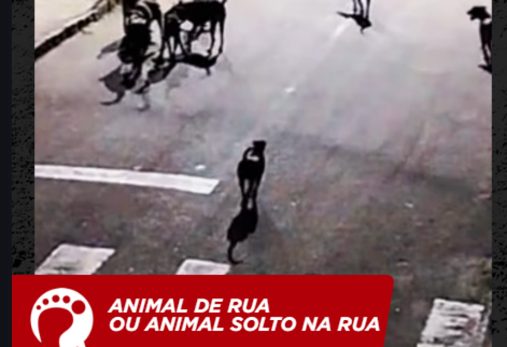 Capturar