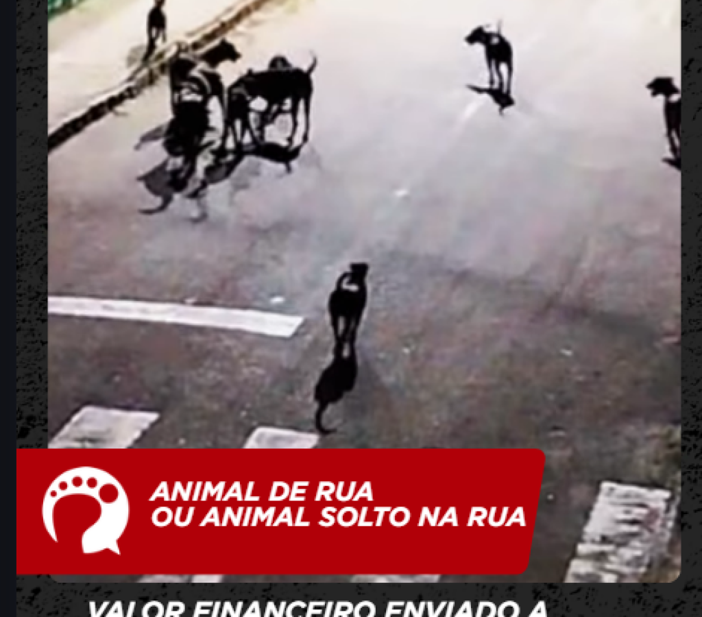 Capturar