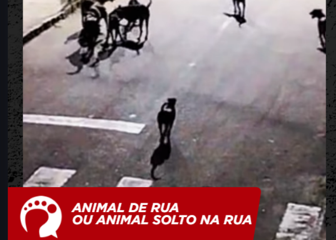 Capturar