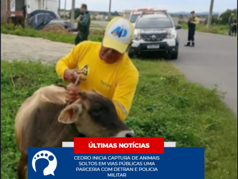 Capturar