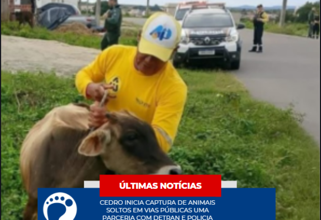 Capturar
