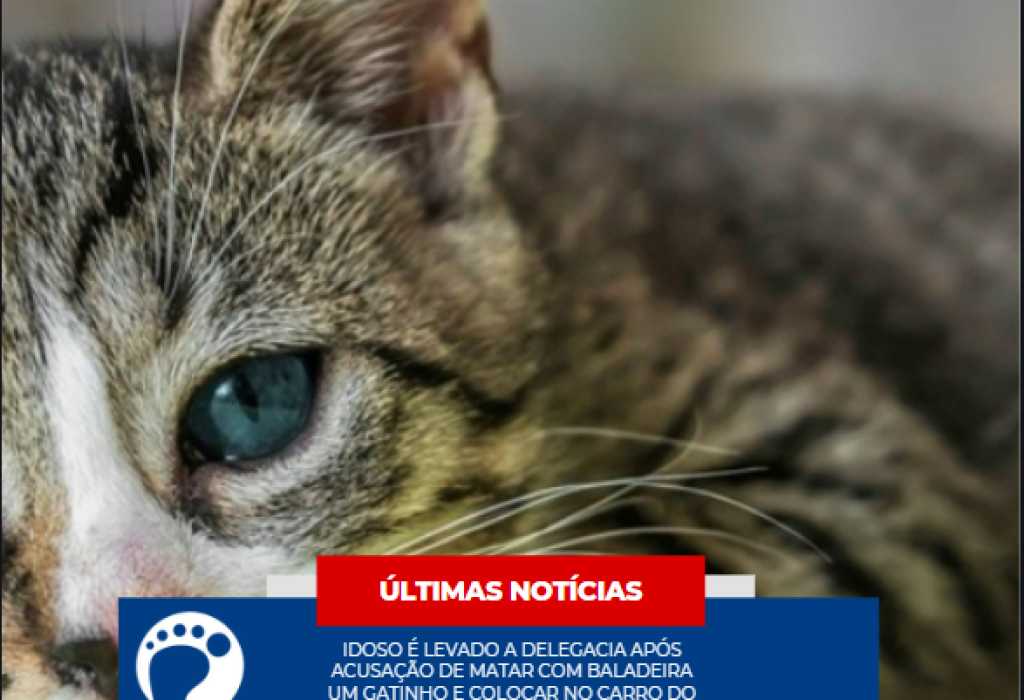 Capturar