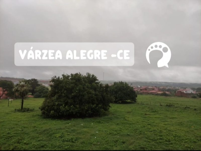 WhatsApp Image 2025-03-01 at 08.59.16