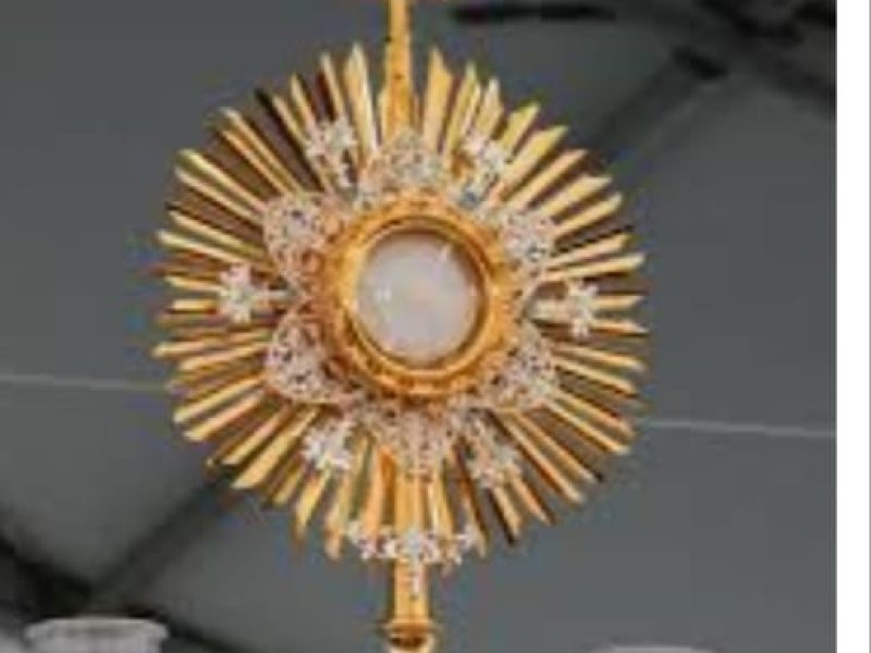 WhatsApp Image 2025-03-04 at 16.11.39