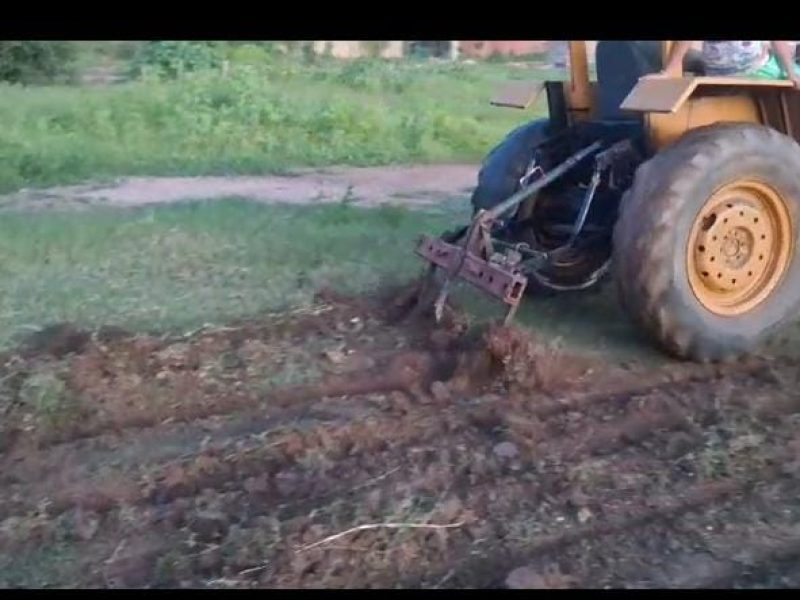 WhatsApp Image 2025-03-24 at 08.15.37