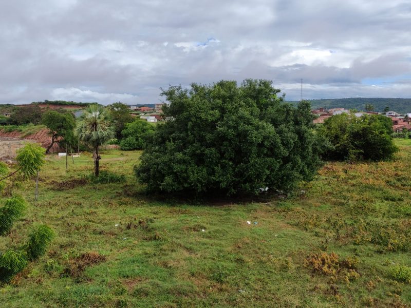 WhatsApp Image 2025-05-06 at 08.23.50