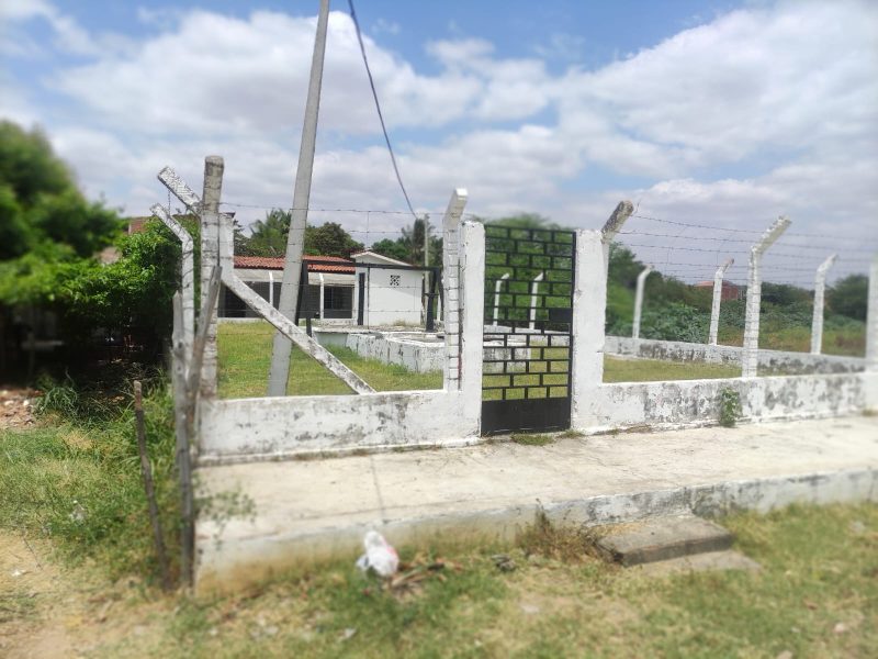 WhatsApp Image 2025-09-11 at 12.21.05