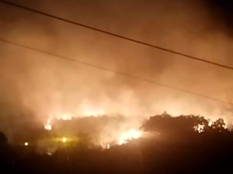 WhatsApp Image 2025-09-13 at 19.59.36