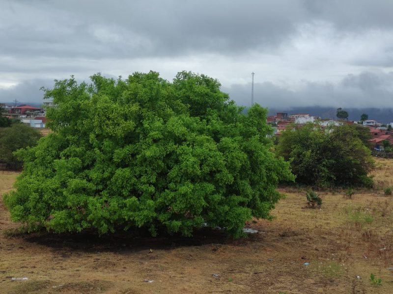 WhatsApp Image 2025-10-21 at 09.00.13