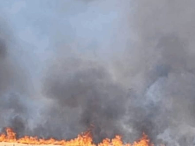 WhatsApp Image 2025-11-13 at 21.15.44